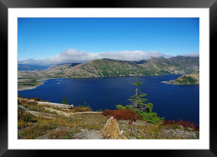Intense red, green and blue, Spirit Lake, Washingt Framed Mounted Print by Claudio Del Luongo