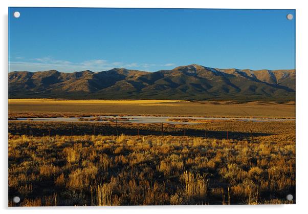 High Desert, Nevada Acrylic by Claudio Del Luongo