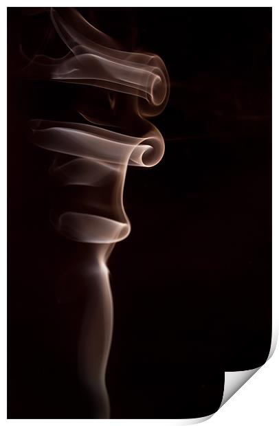Chocolate Swirl Print by Ian Cocklin