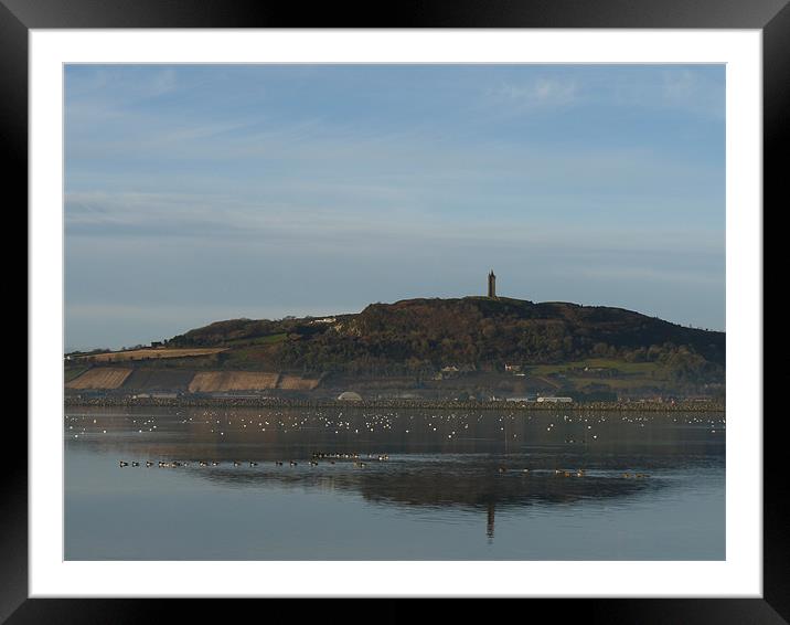 Scrabo Tower Framed Mounted Print by Noreen Linale
