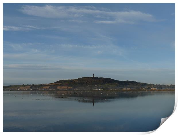 Reflection Of Scrabo Print by Noreen Linale