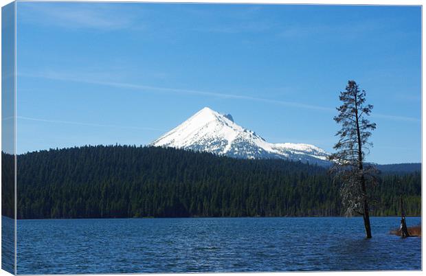 Lake of the Woods with Mount McLoughlin, Oregon Canvas Print by Claudio Del Luongo