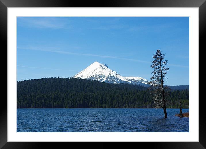 Lake of the Woods with Mount McLoughlin, Oregon Framed Mounted Print by Claudio Del Luongo