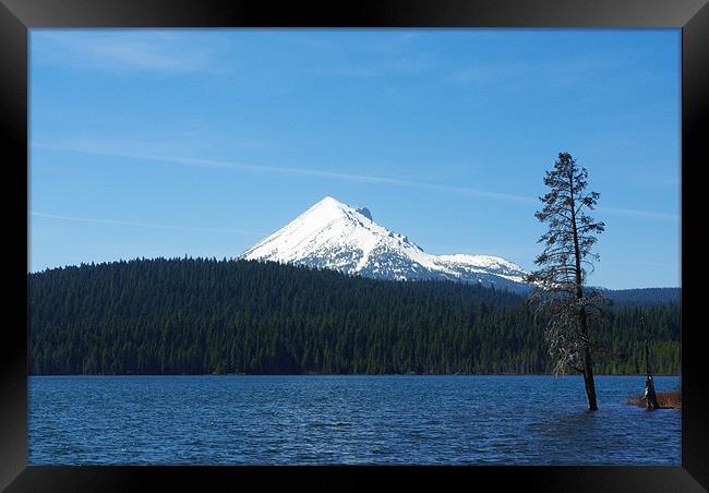Lake of the Woods with Mount McLoughlin, Oregon Framed Print by Claudio Del Luongo