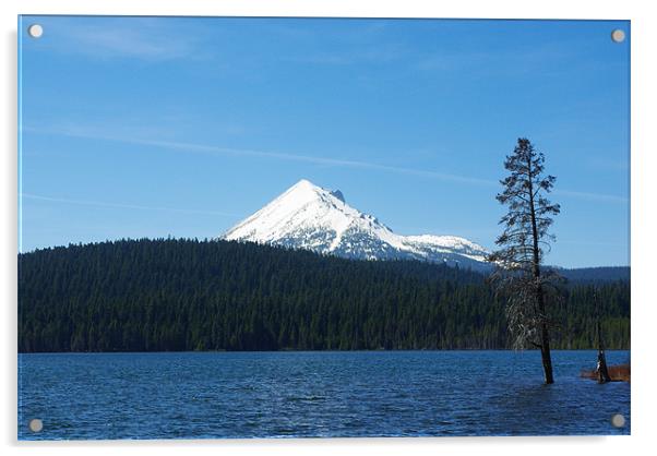 Lake of the Woods with Mount McLoughlin, Oregon Acrylic by Claudio Del Luongo