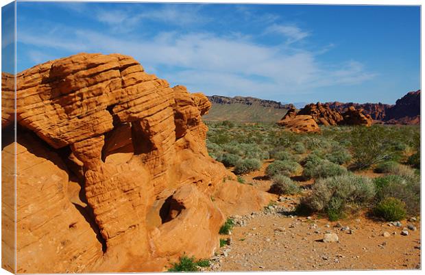 Colourful Valley of Fire, Nevada Canvas Print by Claudio Del Luongo