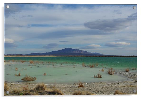 Crystal reservoir, Nevada Acrylic by Claudio Del Luongo