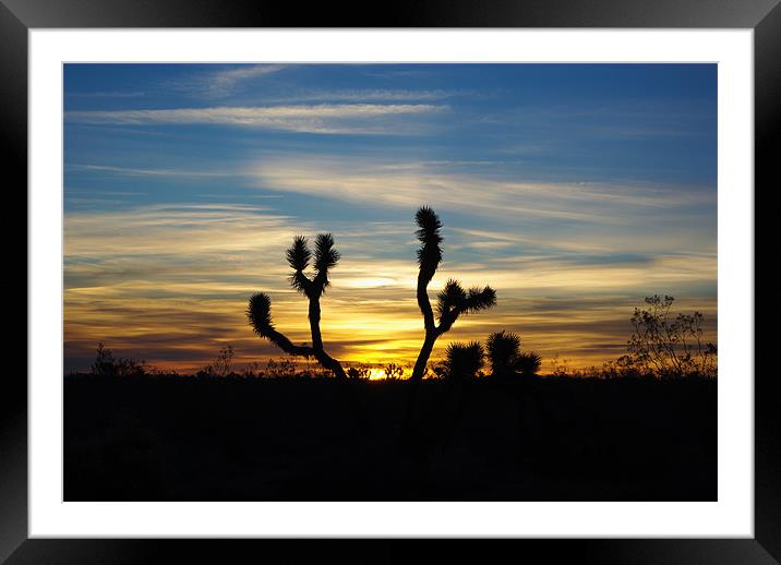 Joshua sunrise, Nevada Framed Mounted Print by Claudio Del Luongo