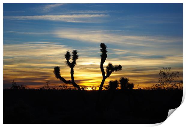 Joshua sunrise, Nevada Print by Claudio Del Luongo