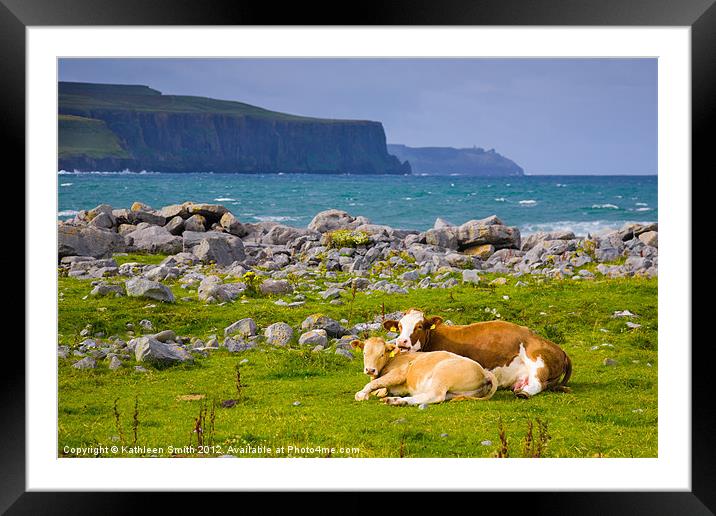 Cow and calf in Ireland Framed Mounted Print by Kathleen Smith (kbhsphoto)