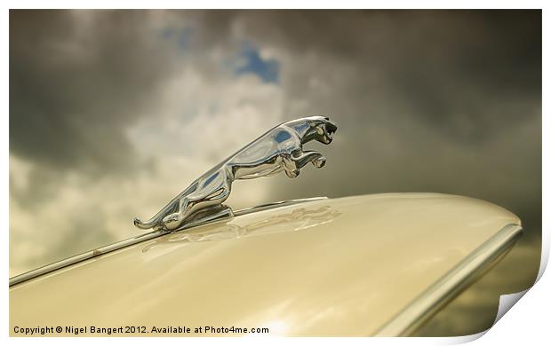 Jaguar Print by Nigel Bangert