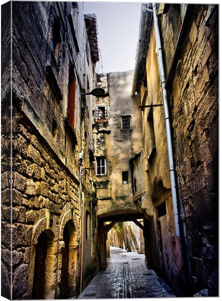 Grungy French Alleyway Canvas Print by Jacqi Elmslie