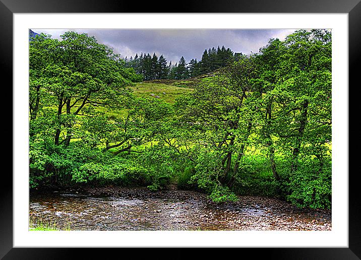 River in the Glen Framed Mounted Print by Tom Gomez