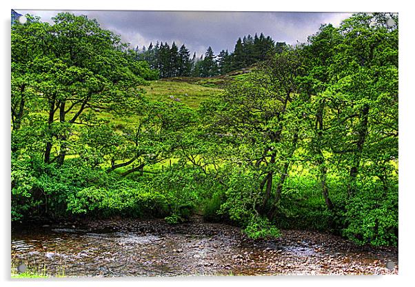 River in the Glen Acrylic by Tom Gomez