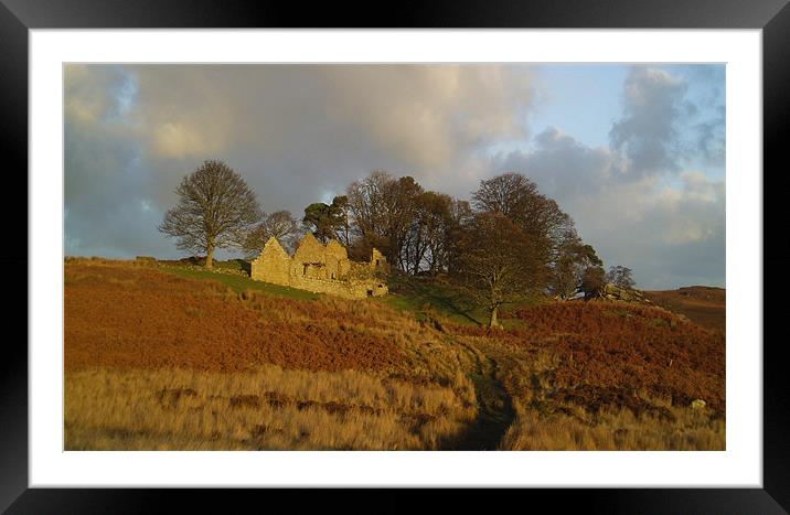 Landscape   -    Blawearie Northumnberland  Framed Mounted Print by David Turnbull