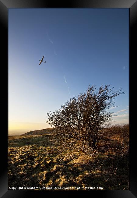 Gliding Framed Print by Graham Custance