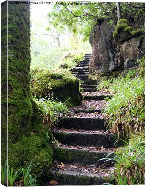 Stairway to Heaven Canvas Print by camera man