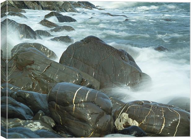 Wild Sea and Wet Rocks Canvas Print by Dave Bell