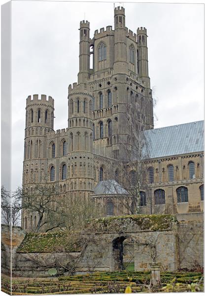 Ely Cathedral Canvas Print by Tony Murtagh