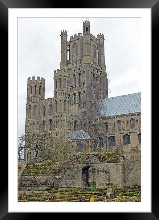 Ely Cathedral Framed Mounted Print by Tony Murtagh