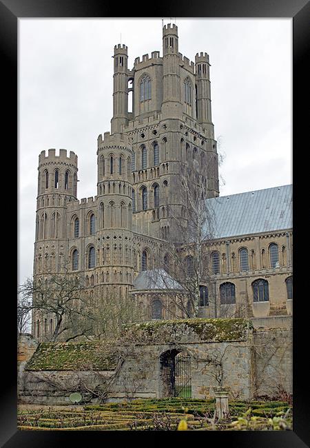 Ely Cathedral Framed Print by Tony Murtagh