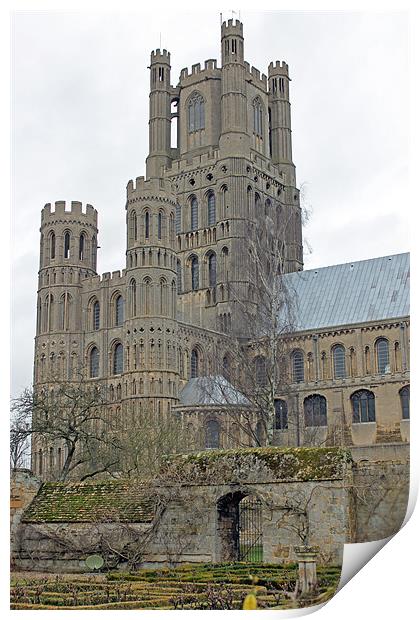 Ely Cathedral Print by Tony Murtagh