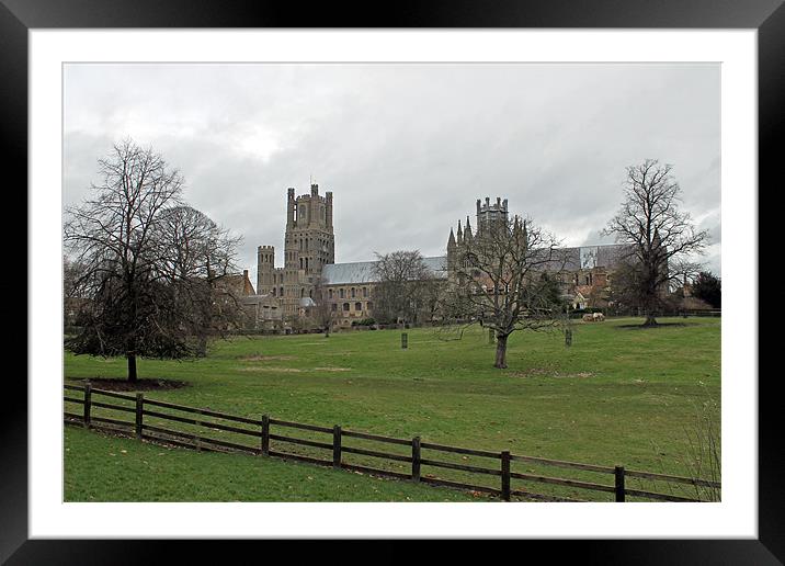 Ely Cathedral Framed Mounted Print by Tony Murtagh