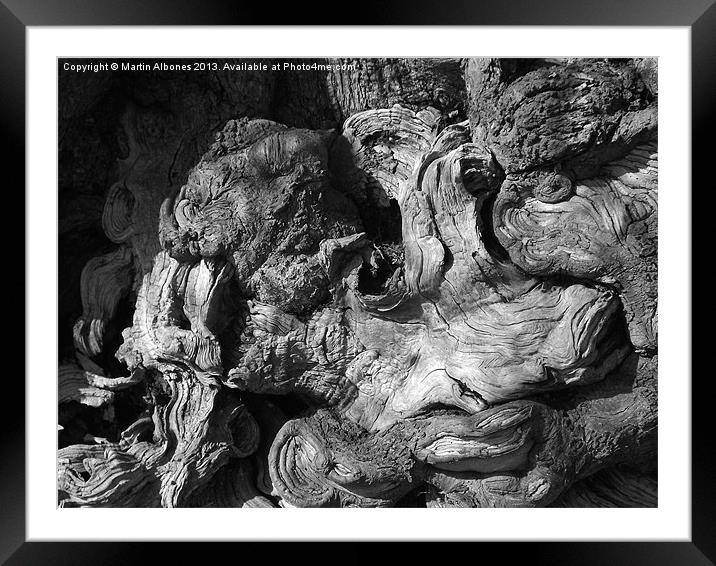 Twisted Trunk Framed Mounted Print by Martin Albones