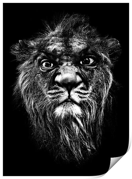 a portrait of the artist as a young lion Print by meirion matthias