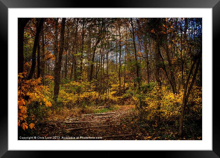 On The Trail To Fangorn Framed Mounted Print by Chris Lord