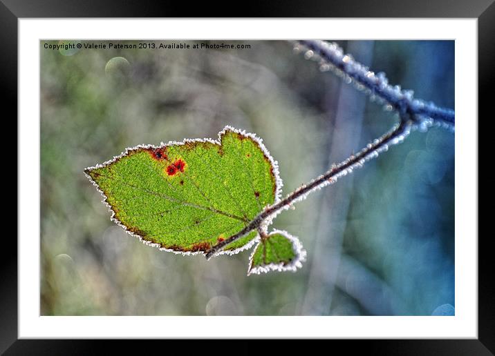 Frosty Edges Framed Mounted Print by Valerie Paterson