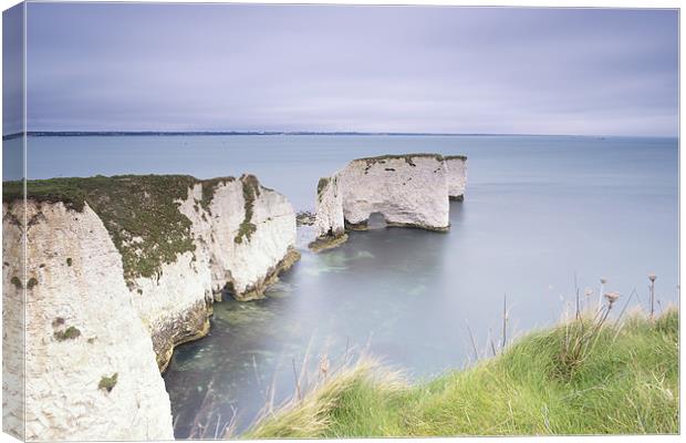 Old Harry Canvas Print by Andrew Bannister