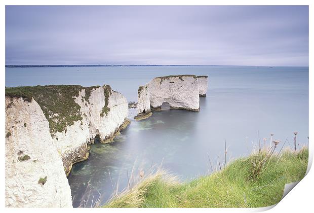 Old Harry Print by Andrew Bannister