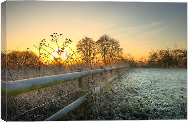 Eye -Bridge Frost Canvas Print by Andrew Bannister
