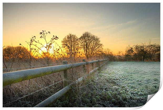 Eye -Bridge Frost Print by Andrew Bannister