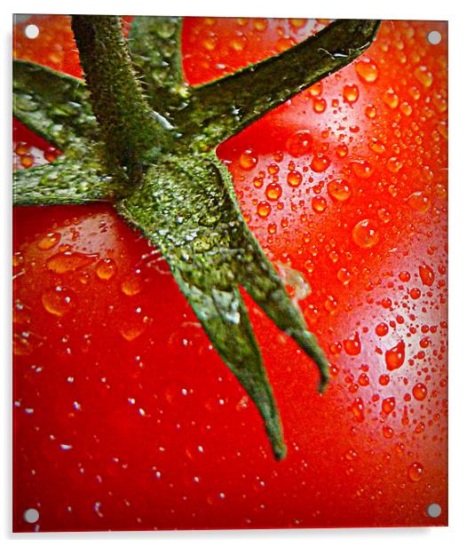juicy tomato Acrylic by dale rys (LP)