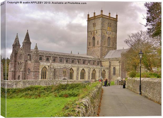 St Davids Cathedral Pembrokeshire Canvas Print by austin APPLEBY