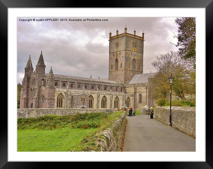 St Davids Cathedral Pembrokeshire Framed Mounted Print by austin APPLEBY