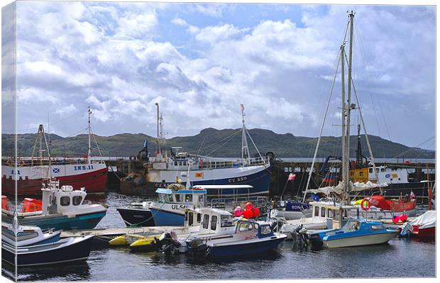 Fishing Boats in Scotland Canvas Print by Jacqi Elmslie