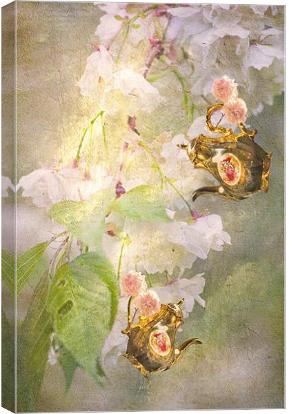 cherry blossom tea anyone Canvas Print by Dawn Cox