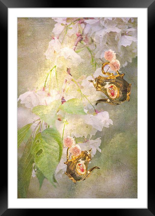 cherry blossom tea anyone Framed Mounted Print by Dawn Cox