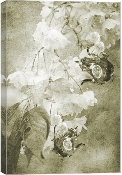 Old Fashioned  high tea Canvas Print by Dawn Cox