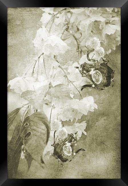 Old Fashioned  high tea Framed Print by Dawn Cox