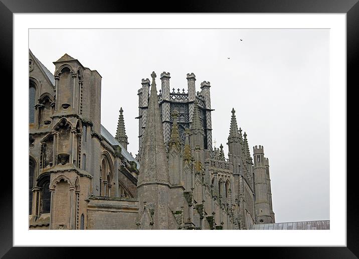 Octagon Tower Ely Cathedral Framed Mounted Print by Tony Murtagh