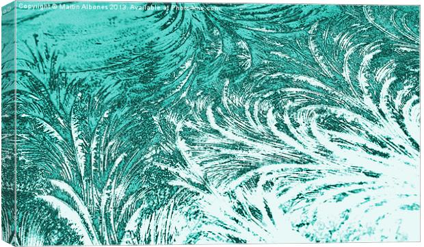 Ice Feathers In Cyan Canvas Print by Martin Albones