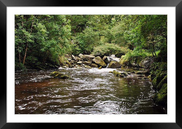 Ladycombe Leat Framed Mounted Print by graham young