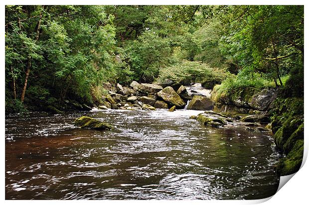 Ladycombe Leat Print by graham young