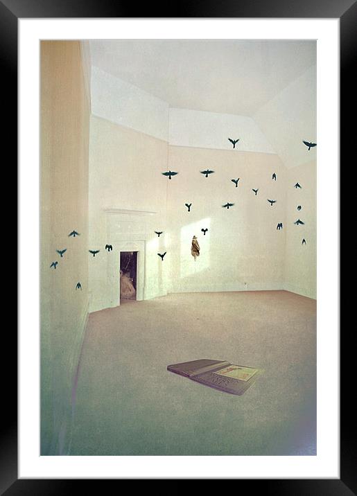 Let your imagination  fly free Framed Mounted Print by Dawn Cox