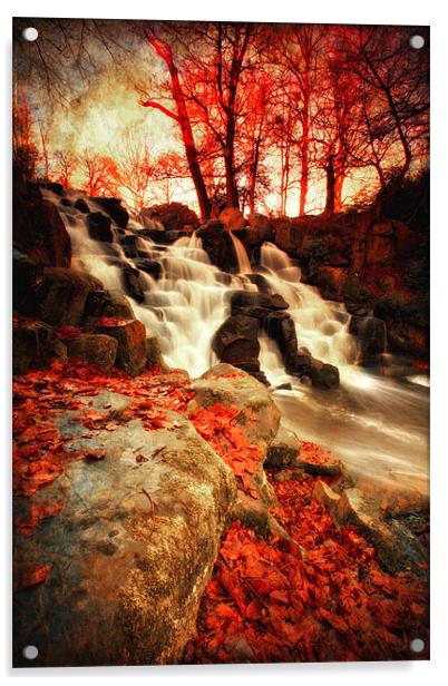 Autumn Falls Acrylic by Chris Manfield