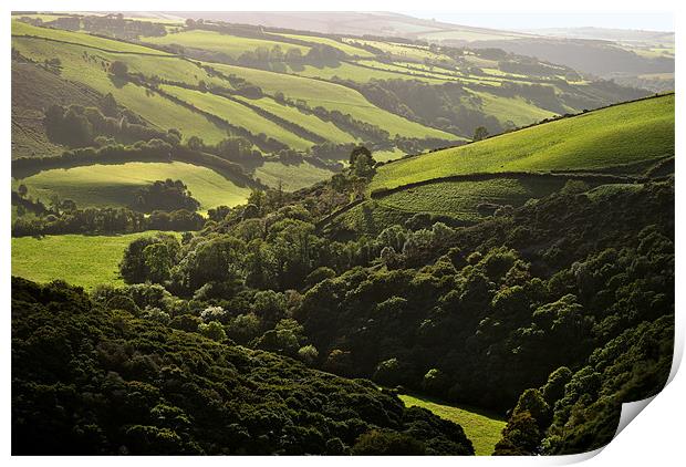 Exmoor Print by graham young